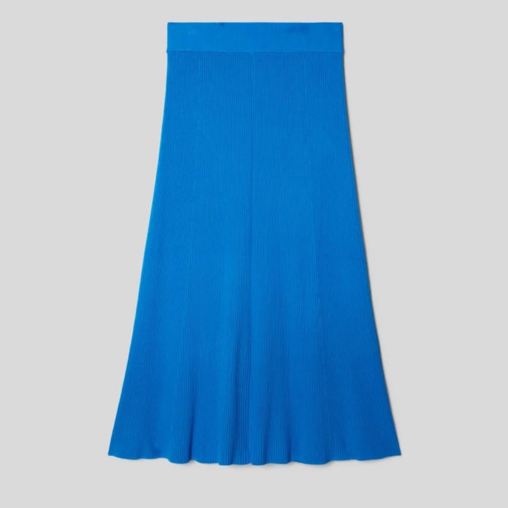 Everlane Royal Blue Ribbed Midi Skirt